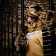Cosplay by Knightmage | Photo by The Portrait Dude